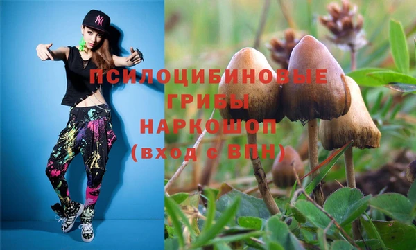 spice Белокуриха
